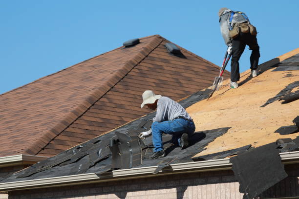 Professional  Roofing repair and installation in Hillsboro, ND