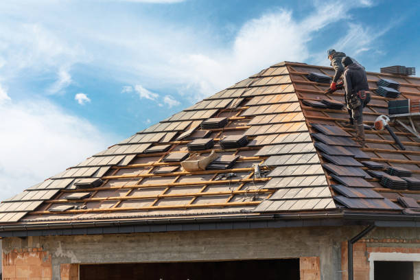 Best Roof Repair  in Hillsboro, ND
