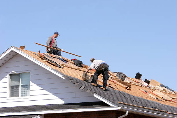 Best Roof Leak Repair  in Hillsboro, ND